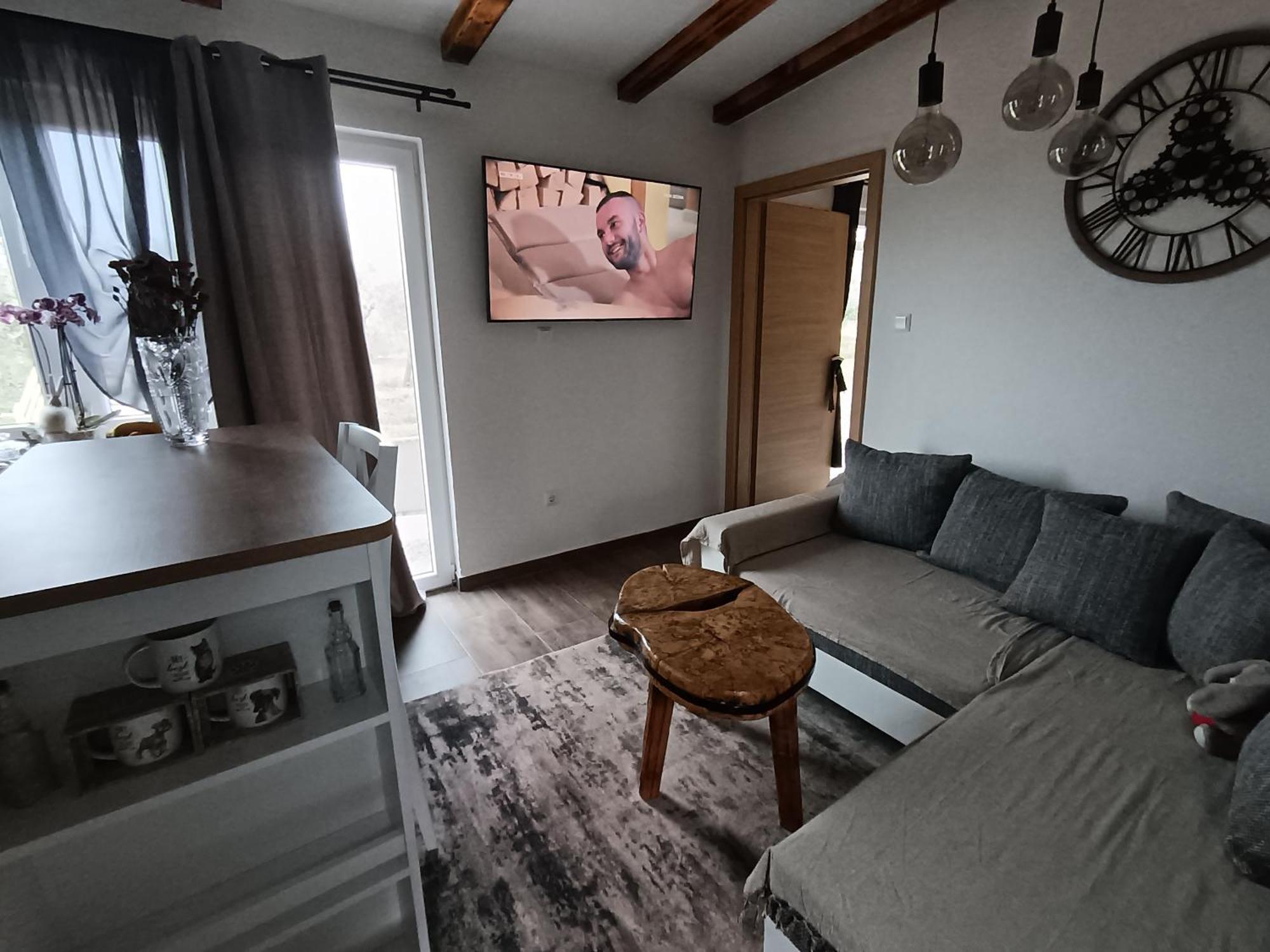 Ferienwohnung Cattleya Novigrad Istria Exterior foto