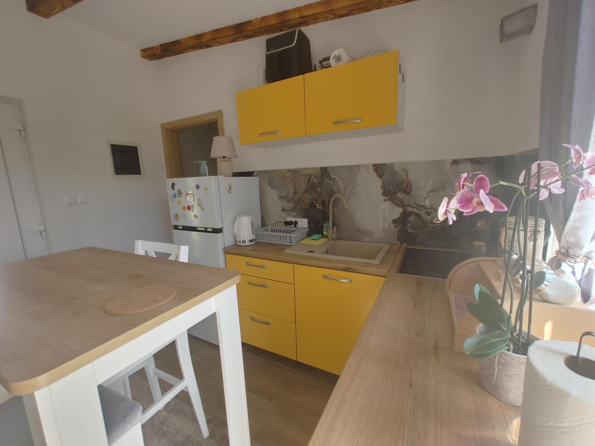Ferienwohnung Cattleya Novigrad Istria Exterior foto